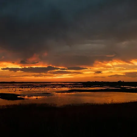 Superior Ocean View Lofoten Appartement *