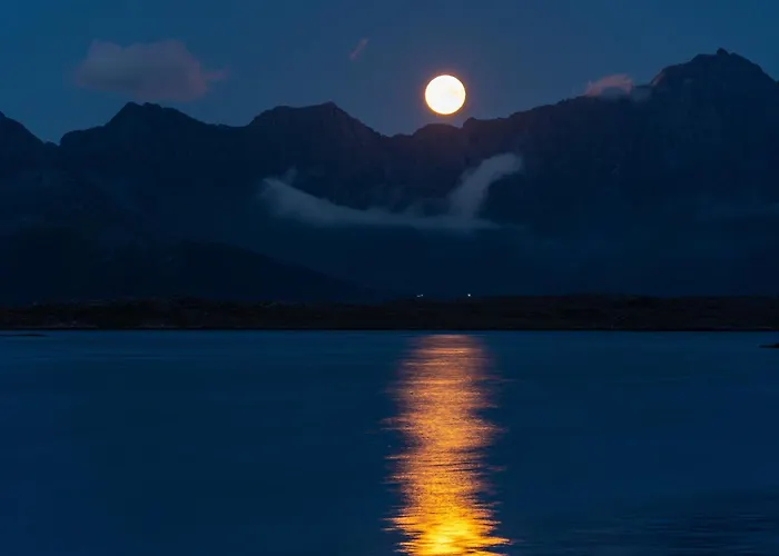 Superior Ocean View Lofoten Lägenhet Ballstad